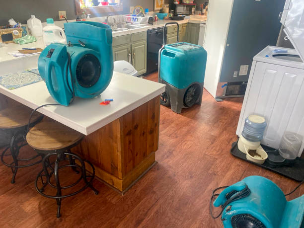 Best Ceiling water damage repair  in Whitehall, WI